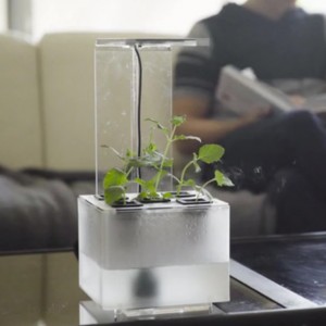 Virale Idee „Hand-Made Living Decor“